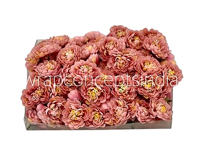 Blush Small Dahlias