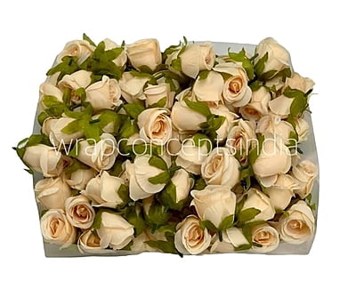 Cream Rose Buds