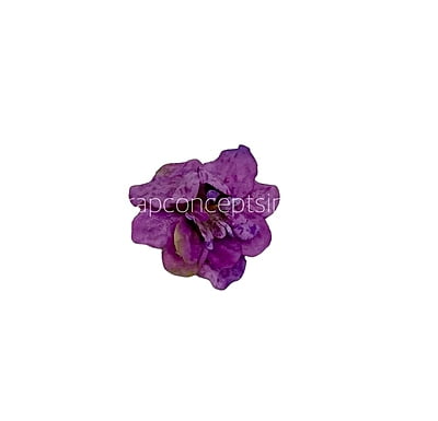 Orchid Textured Petunias Orchid Textured Petunias