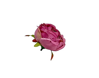 left Over Big Peony - Light Brown left Over Big Peony - Light Brown