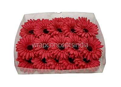 Scarlet Sunflower