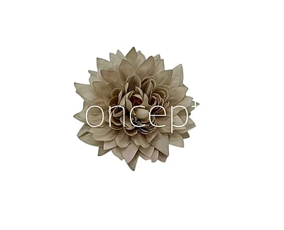 Greige Dahlia Flower