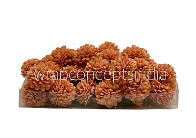 Small Carnation - Tan