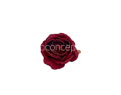 Ruby Roses