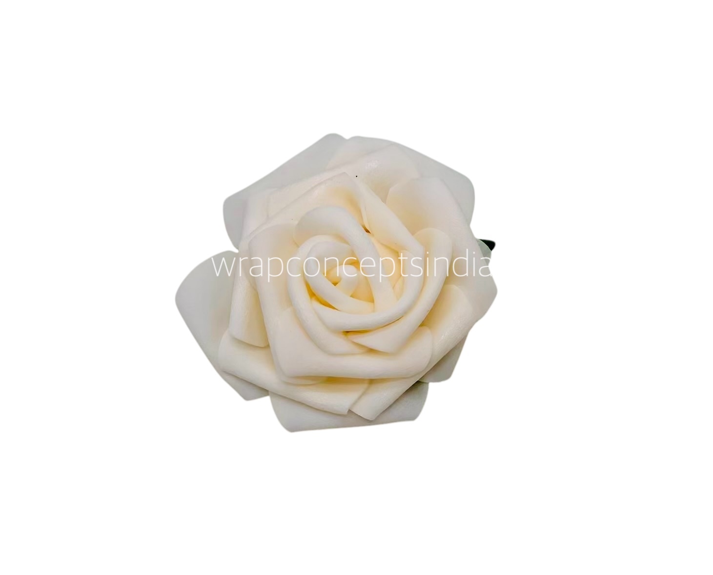 Cream Medium Foam Rose