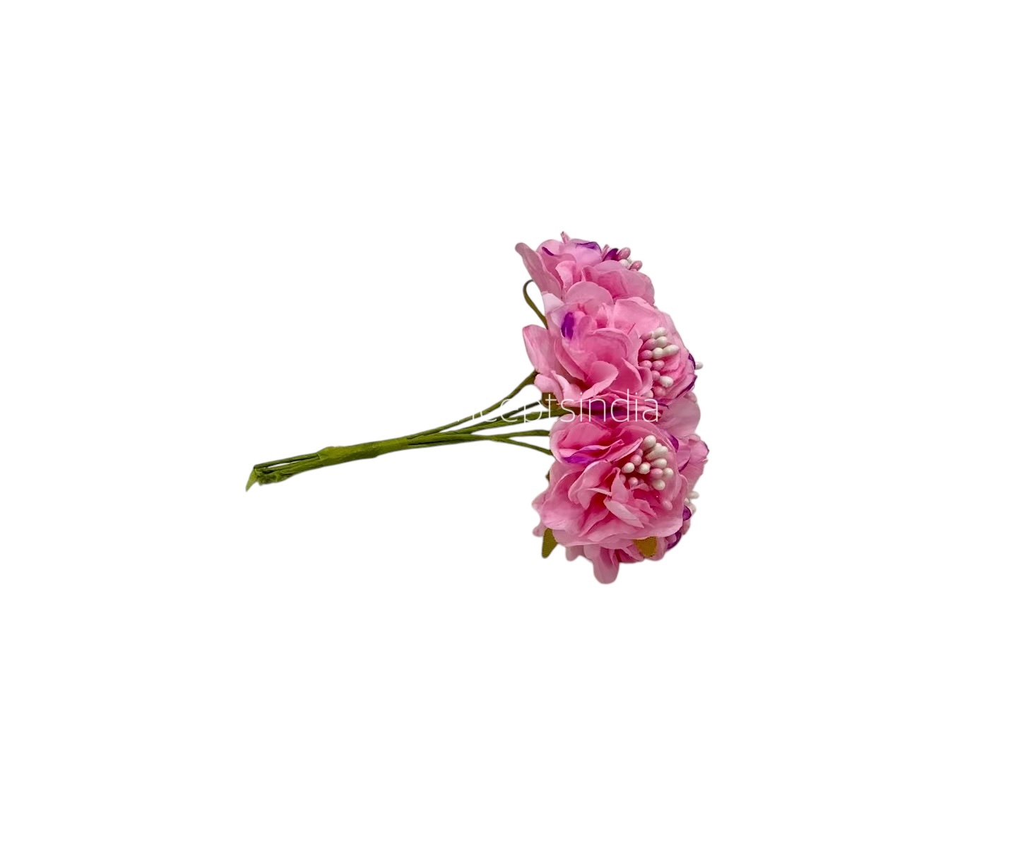 Soft Pink Windflower