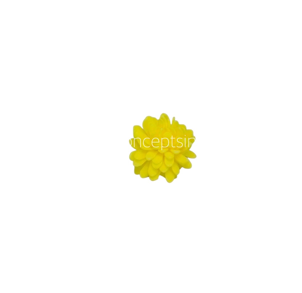 Yellow Foam Carnation Yellow Foam Carnation
