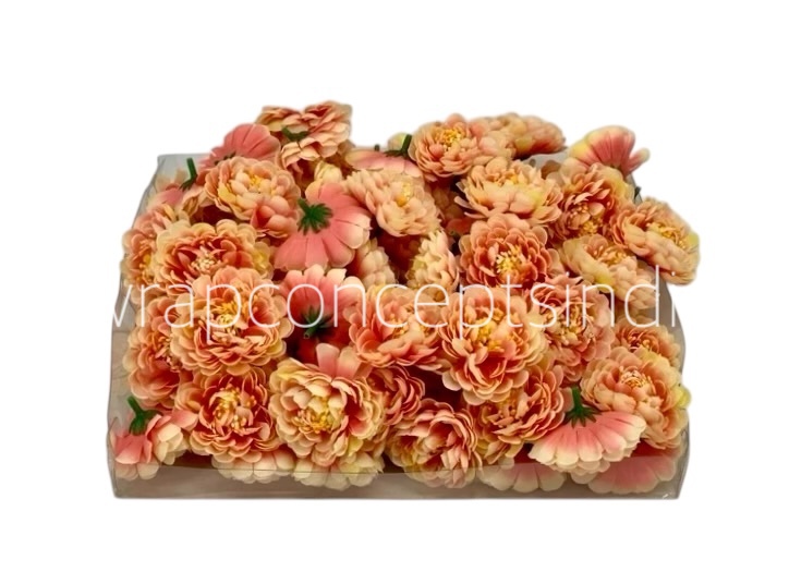 Peach with Lemon Small Dahlias Peach with Lemon Small Dahlias