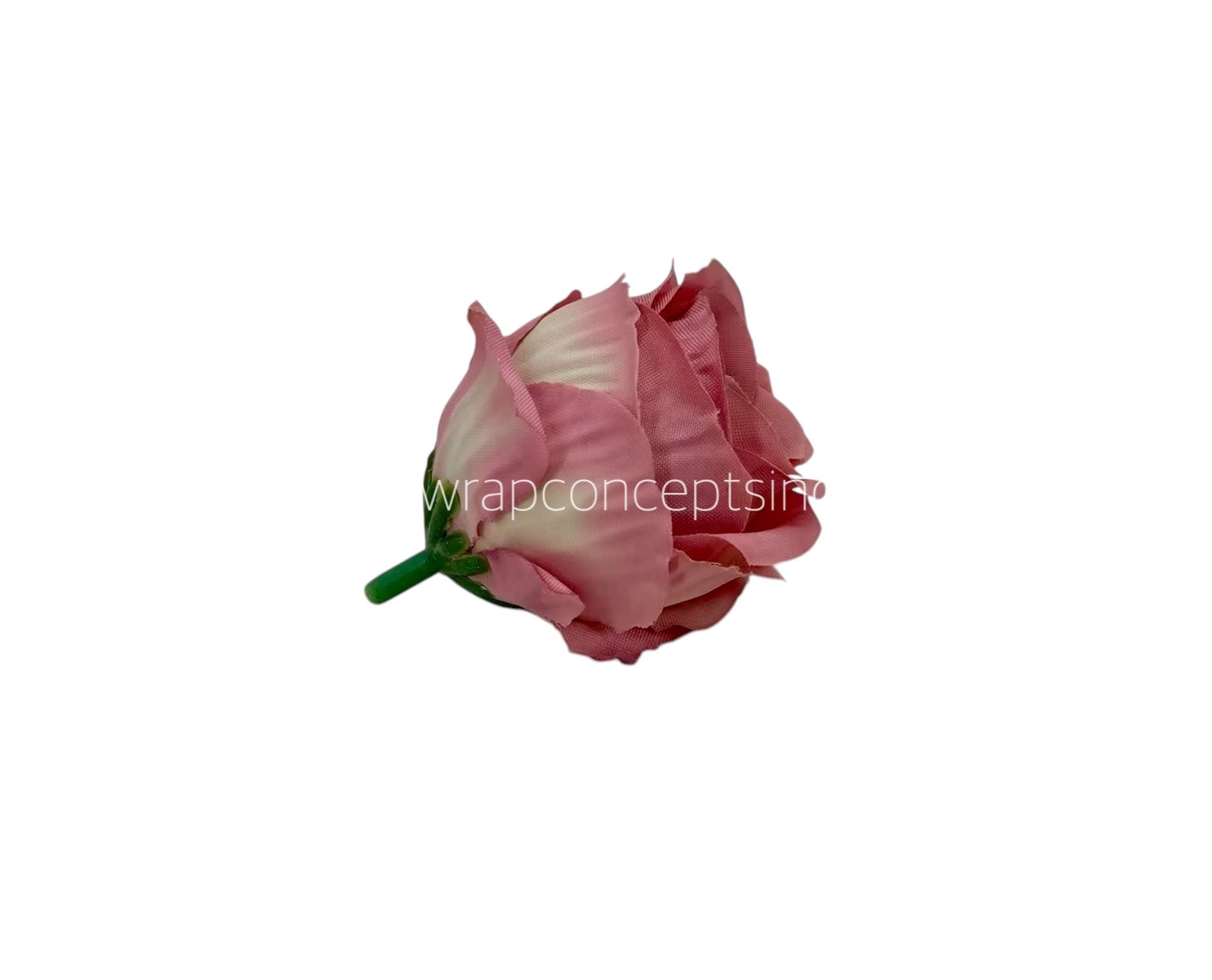Pinkish Ros Buds Pinkish Ros Buds