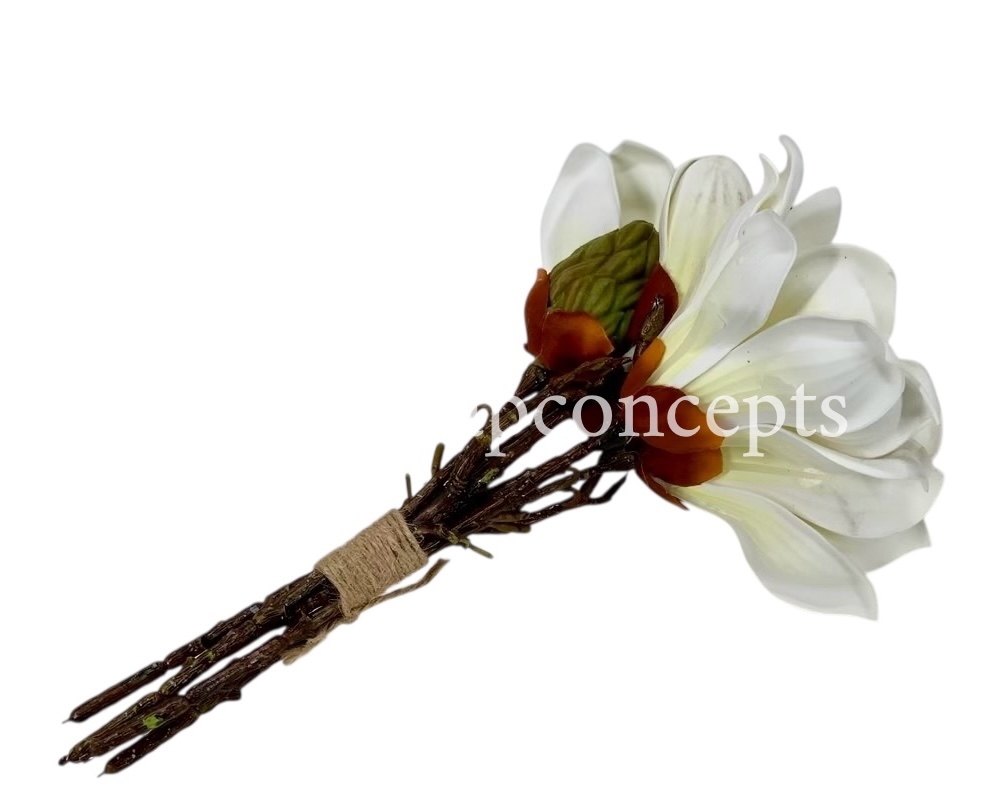 Copy of Shaded Carnation Bunch Copy of Shaded Carnation Bunch