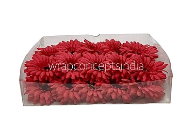 Scarlet Sunflower