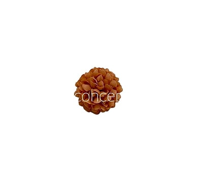 Small Carnation - Tan