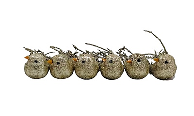 Birds with Fern Tails