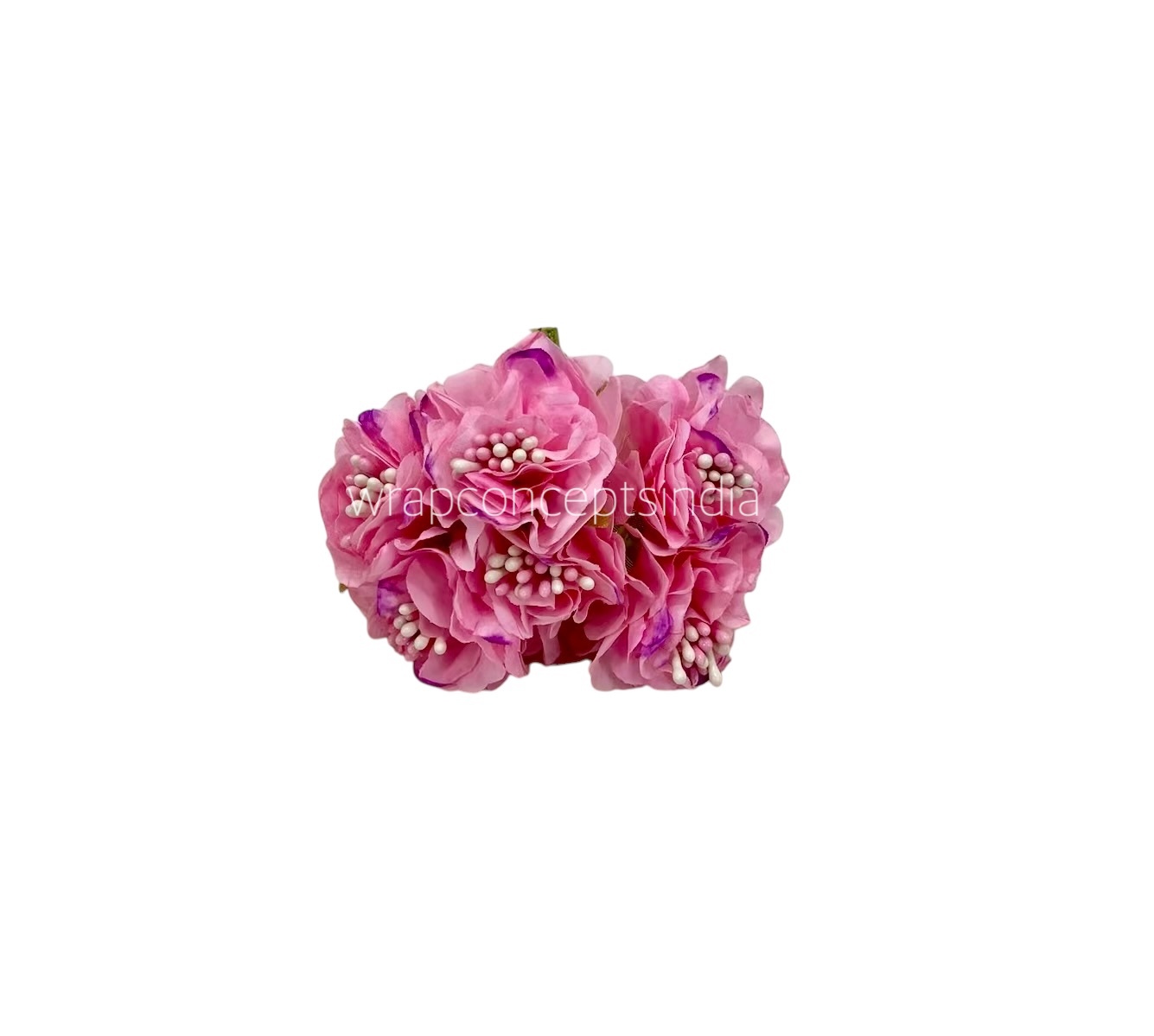 Soft Pink Windflower