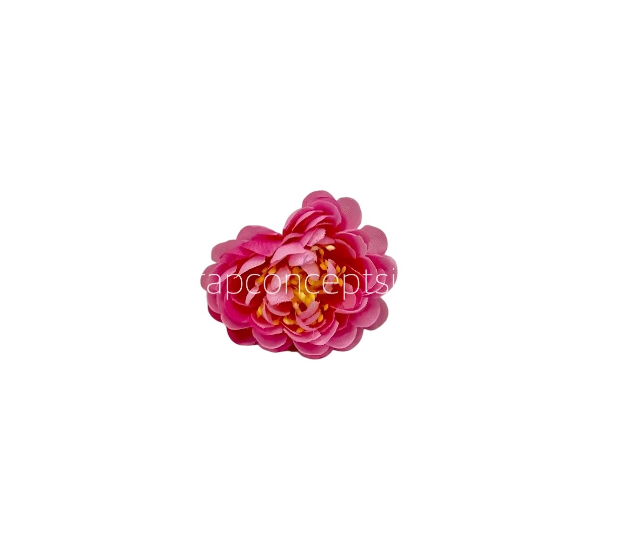 Candy Pink Small Dahlias
