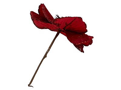 Big Flower with Glitter Centre & Edges Big Flower with Glitter Centre & Edges