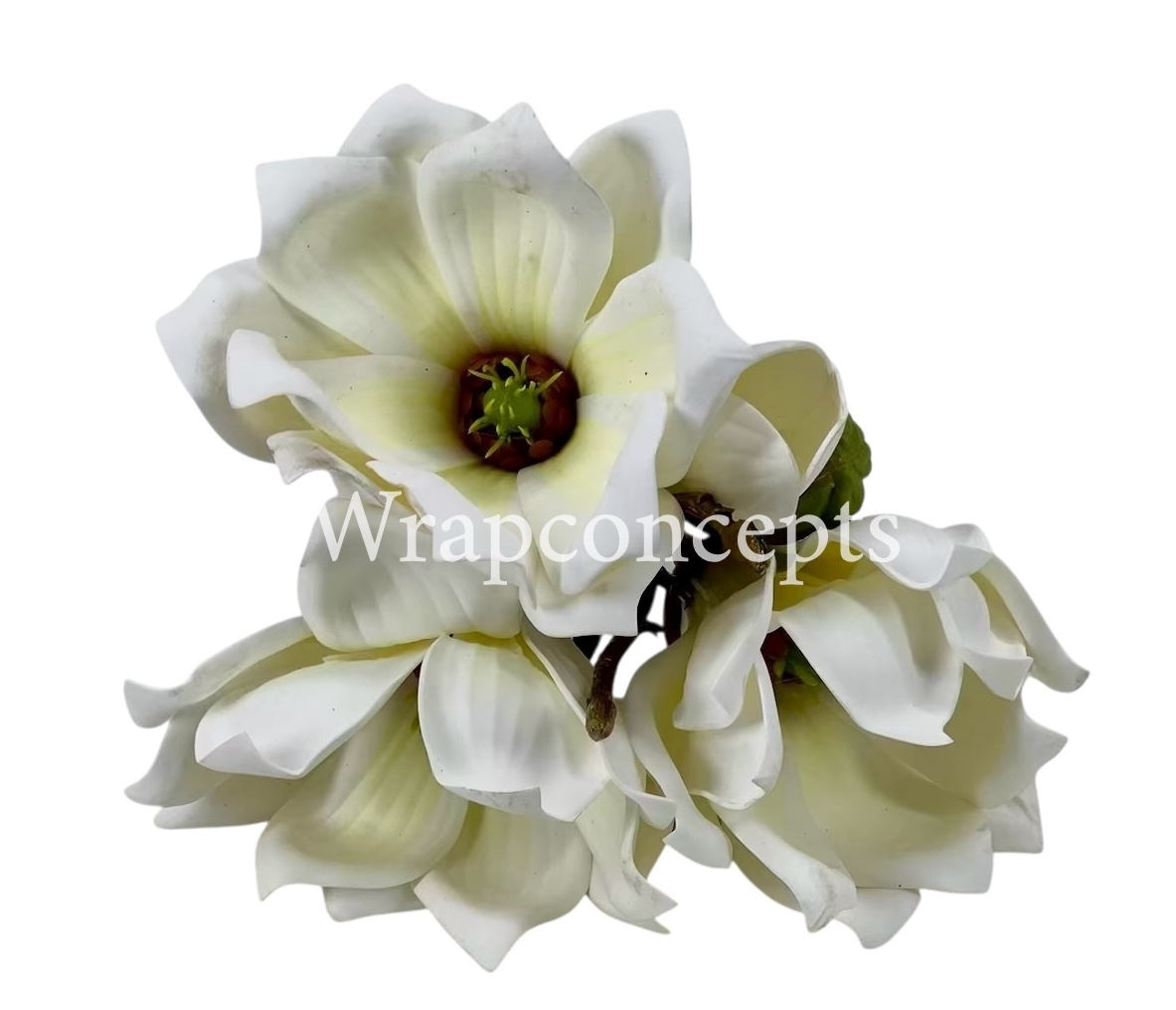 Copy of Shaded Carnation Bunch Copy of Shaded Carnation Bunch