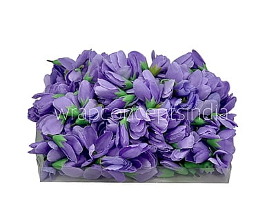 Wisteria Tulip Bud