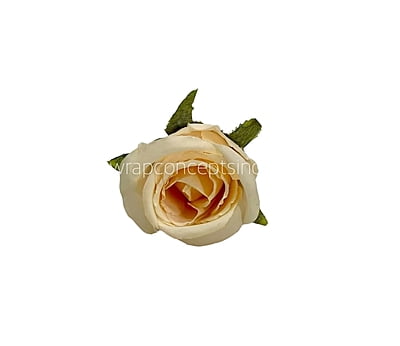 Cream Rose Buds Cream Rose Buds