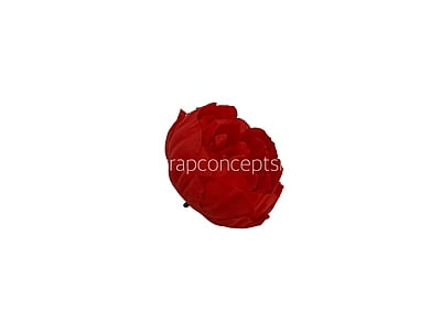 Chilli Red Peony Chilli Red Peony