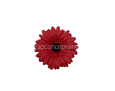 Scarlet Sunflower