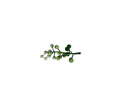 Green & White Big Baby Breath Florets