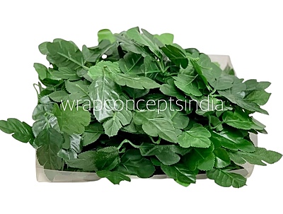 Green Hazel Leaves