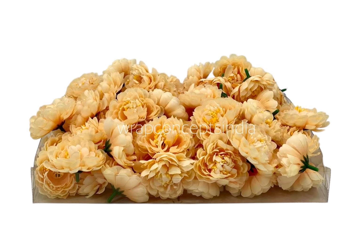 Creamy Yellow Small Dahlia Creamy Yellow Small Dahlia