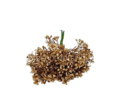 Gold Bunch 3