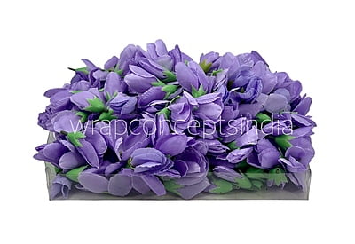 Wisteria Tulip Bud