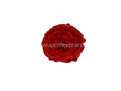 Chilli Red Peony Chilli Red Peony