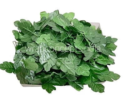 Green Hazel Leaves