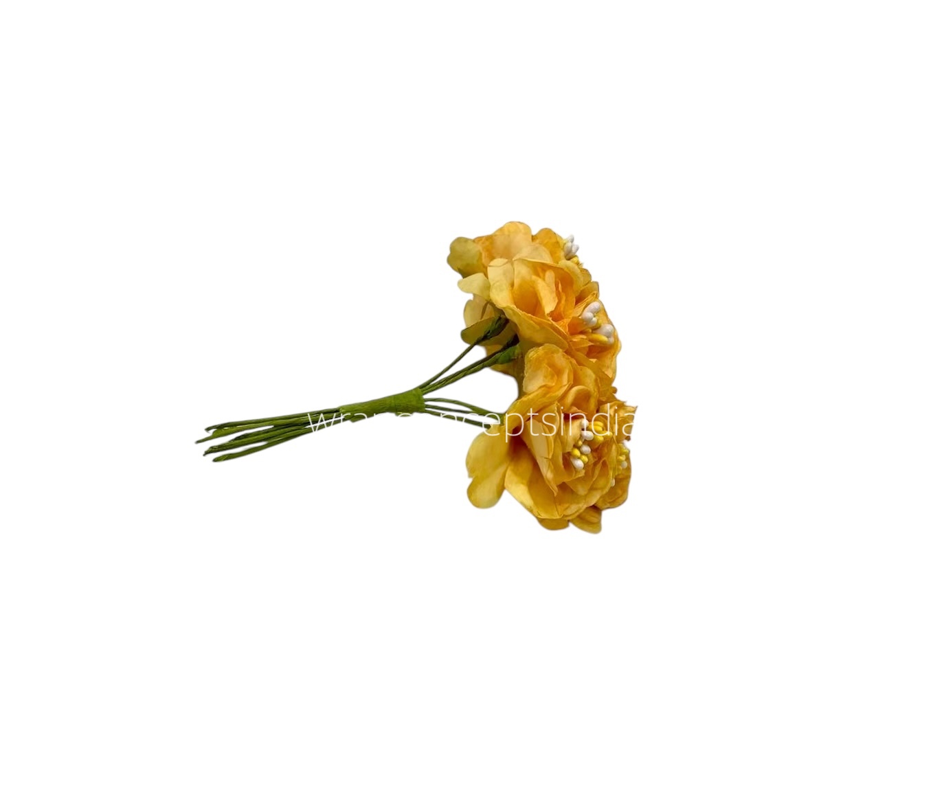 Ochre Windflower Ochre Windflower