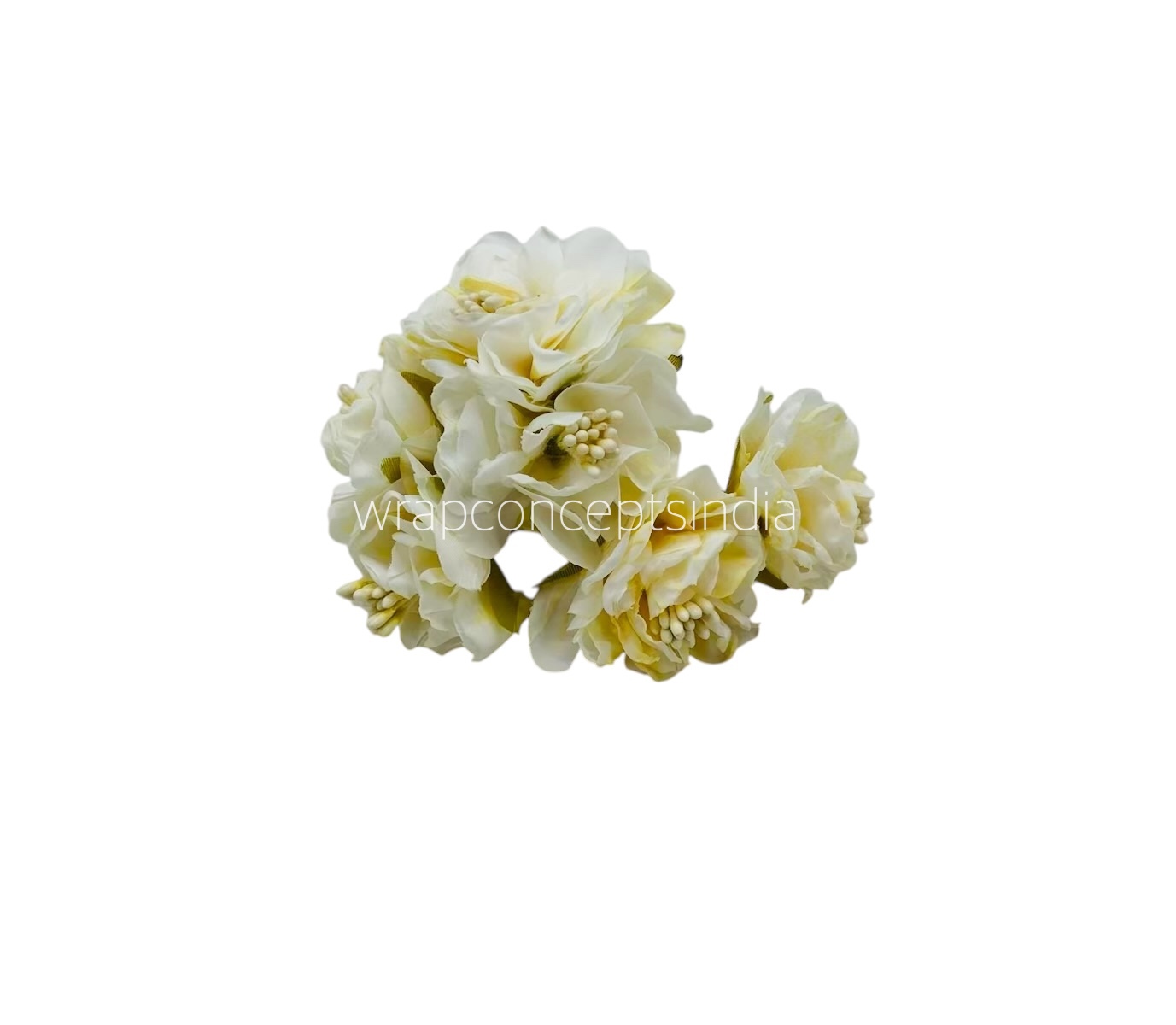 Ivory Windflower