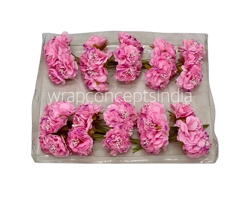 Soft Pink Windflower