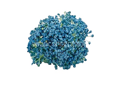 Baby Breath's Bunch Baby Breath's Bunch