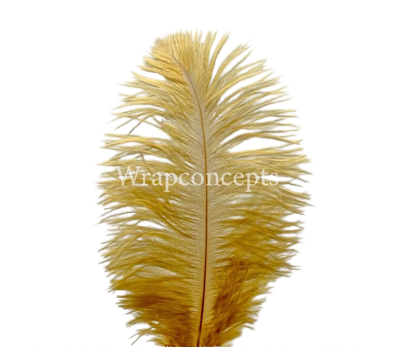 Faux Feather Rounded Edges