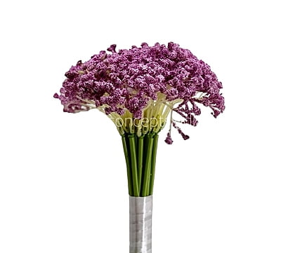 Baby Breath's Bunch