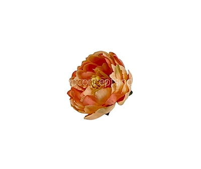 Peach Peonies