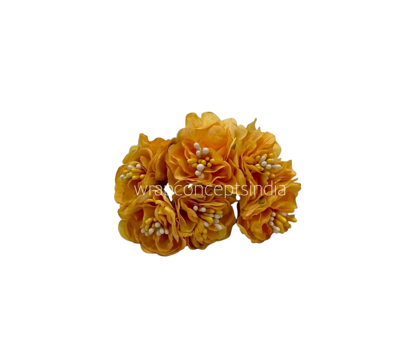Ochre Windflower Ochre Windflower