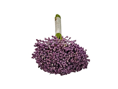 Baby Breath's Bunch Baby Breath's Bunch