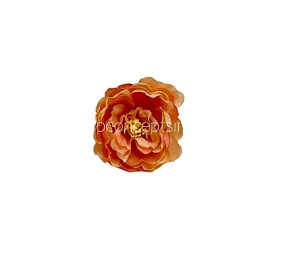 Peach Peonies