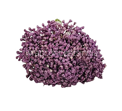 Baby Breath's Bunch Baby Breath's Bunch