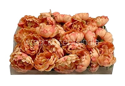 Peach Peonies