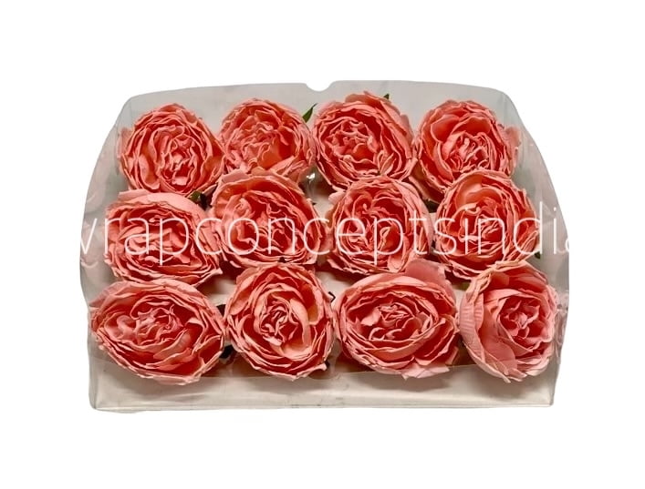Peach Burst Peony