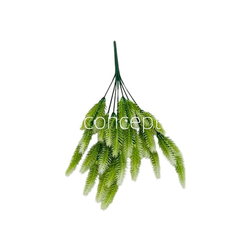 Ligh Green Fir Leaves Bunch