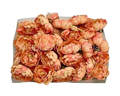 Peach Peonies
