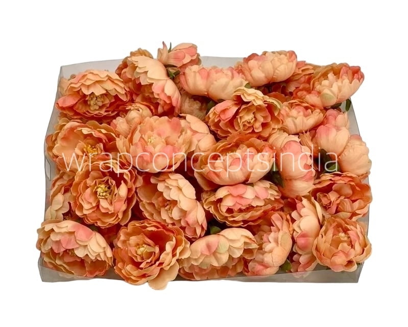 Peach Peonies
