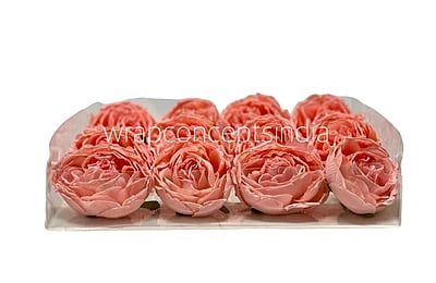 Peach Burst Peony