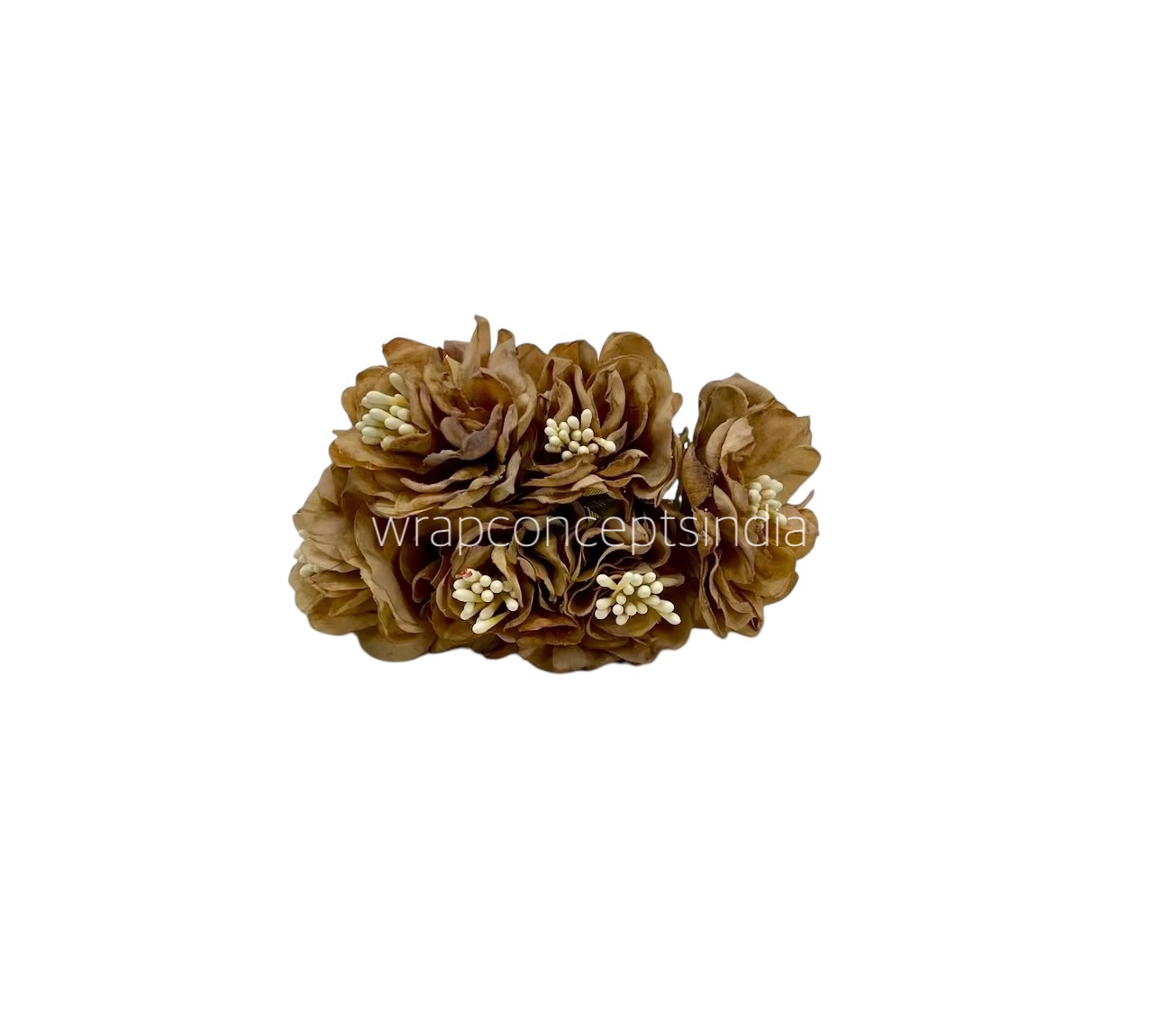 Coffee Windflower